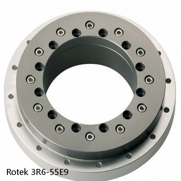 3R6-55E9 Rotek Slewing Ring Bearings