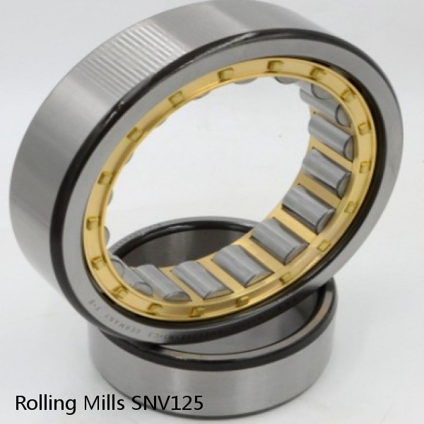 SNV125 Rolling Mills BEARINGS FOR METRIC AND INCH SHAFT SIZES