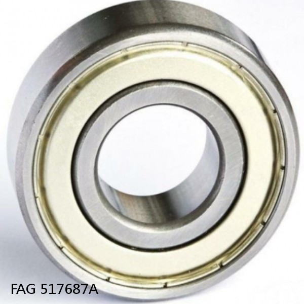 517687A FAG Cylindrical Roller Bearings