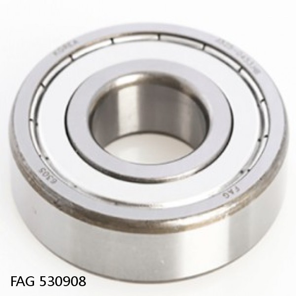 530908 FAG Cylindrical Roller Bearings