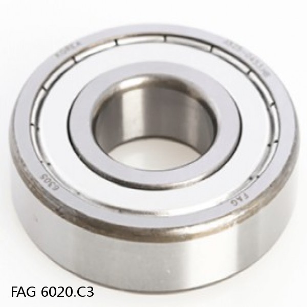 6020.C3 FAG Deep Groove Ball Bearings