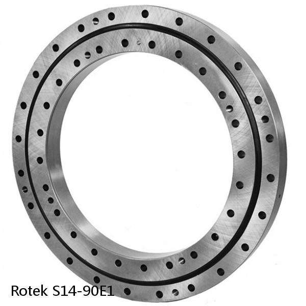 S14-90E1 Rotek Slewing Ring Bearings