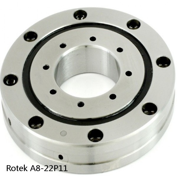 A8-22P11 Rotek Slewing Ring Bearings