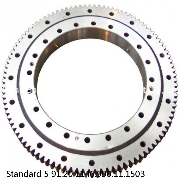 91.20.1146.990.11.1503 Standard 5 Slewing Ring Bearings