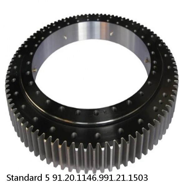 91.20.1146.991.21.1503 Standard 5 Slewing Ring Bearings