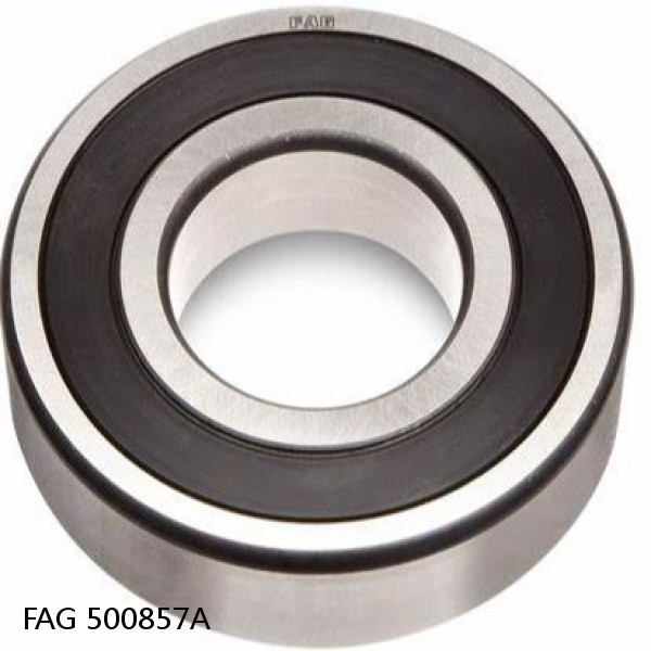 500857A FAG Cylindrical Roller Bearings