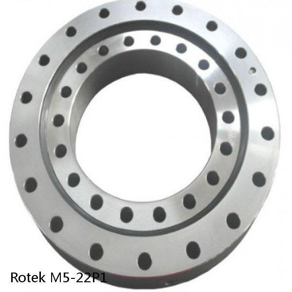 M5-22P1 Rotek Slewing Ring Bearings