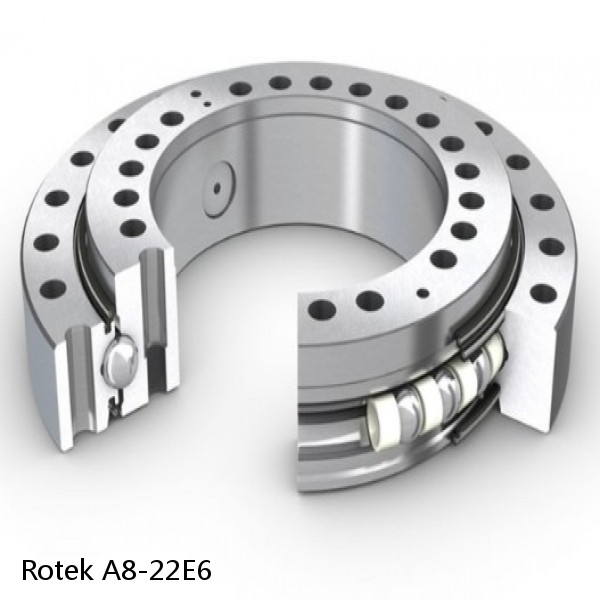 A8-22E6 Rotek Slewing Ring Bearings