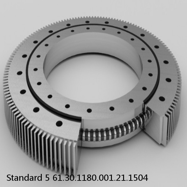 61.30.1180.001.21.1504 Standard 5 Slewing Ring Bearings