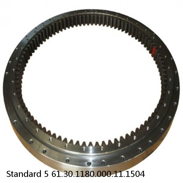 61.30.1180.000.11.1504 Standard 5 Slewing Ring Bearings