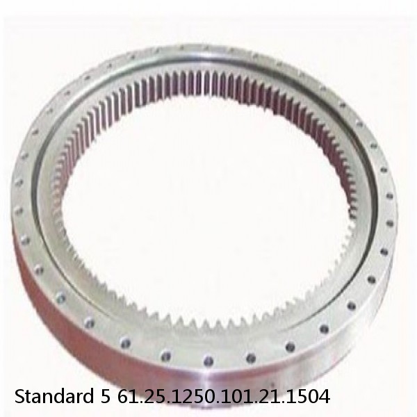 61.25.1250.101.21.1504 Standard 5 Slewing Ring Bearings