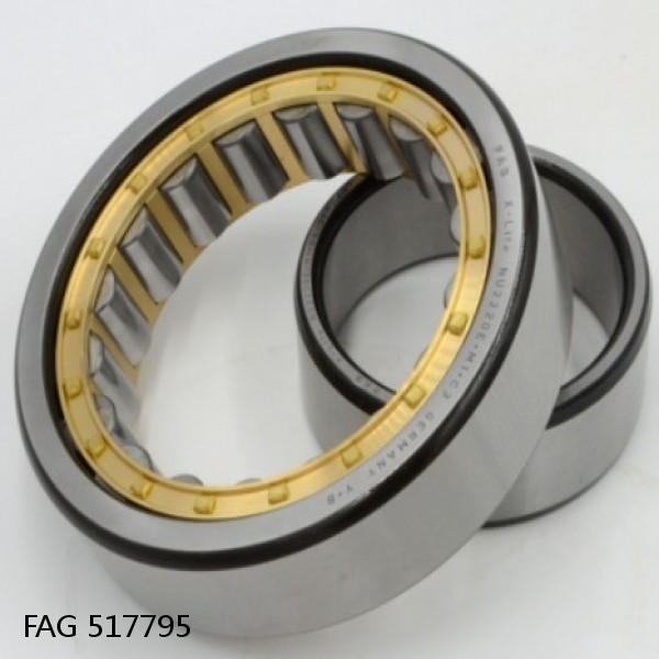517795 FAG Cylindrical Roller Bearings