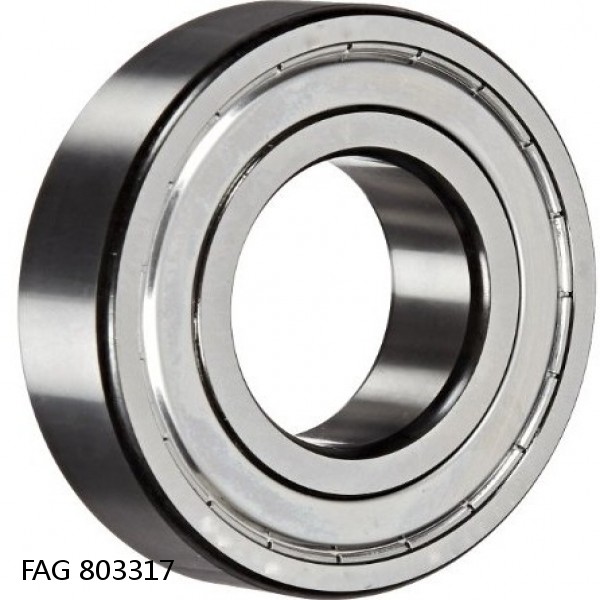 803317 FAG Cylindrical Roller Bearings