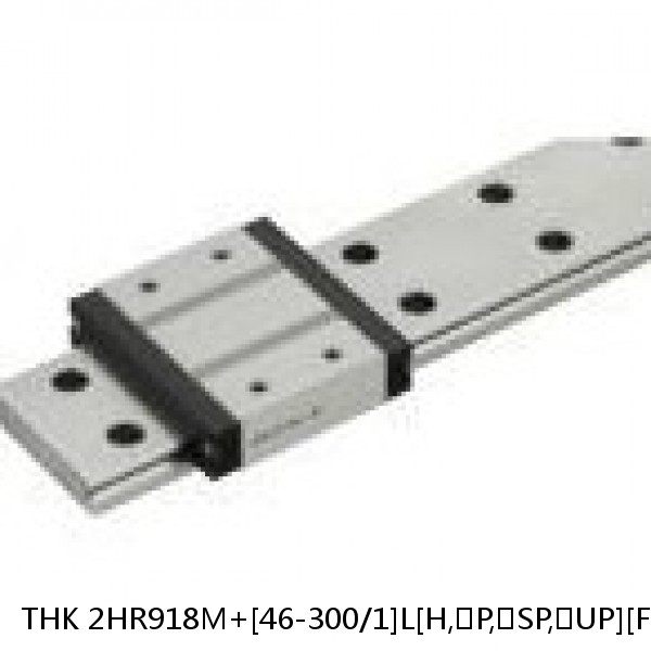 2HR918M+[46-300/1]L[H,​P,​SP,​UP][F(AP-C),​F(AP-CF),​F(AP-HC)]M THK Separated Linear Guide Side Rails Set Model HR