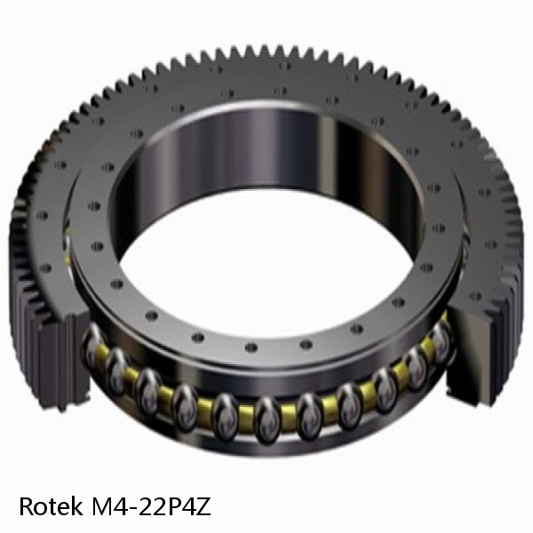 M4-22P4Z Rotek Slewing Ring Bearings