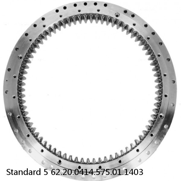 62.20.0414.575.01.1403 Standard 5 Slewing Ring Bearings