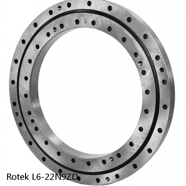 L6-22N9ZD Rotek Slewing Ring Bearings